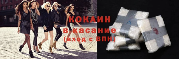 твердый Алексин