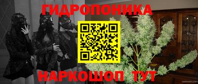 шишки Гатчина