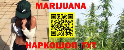 шишки Гатчина