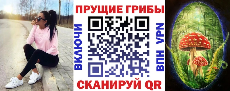 цены   Куйбышев  Галлюциногенные грибы мицелий 