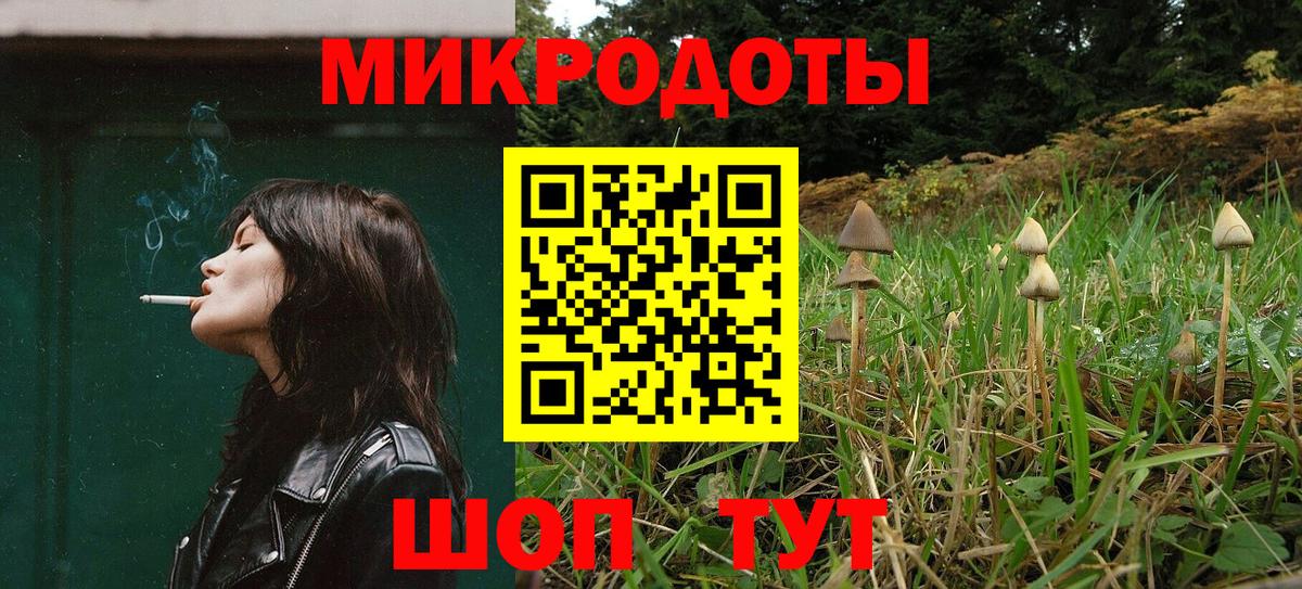 Галлюциногенные грибы Psilocybe  Вход с VPN  цена   Куйбышев 